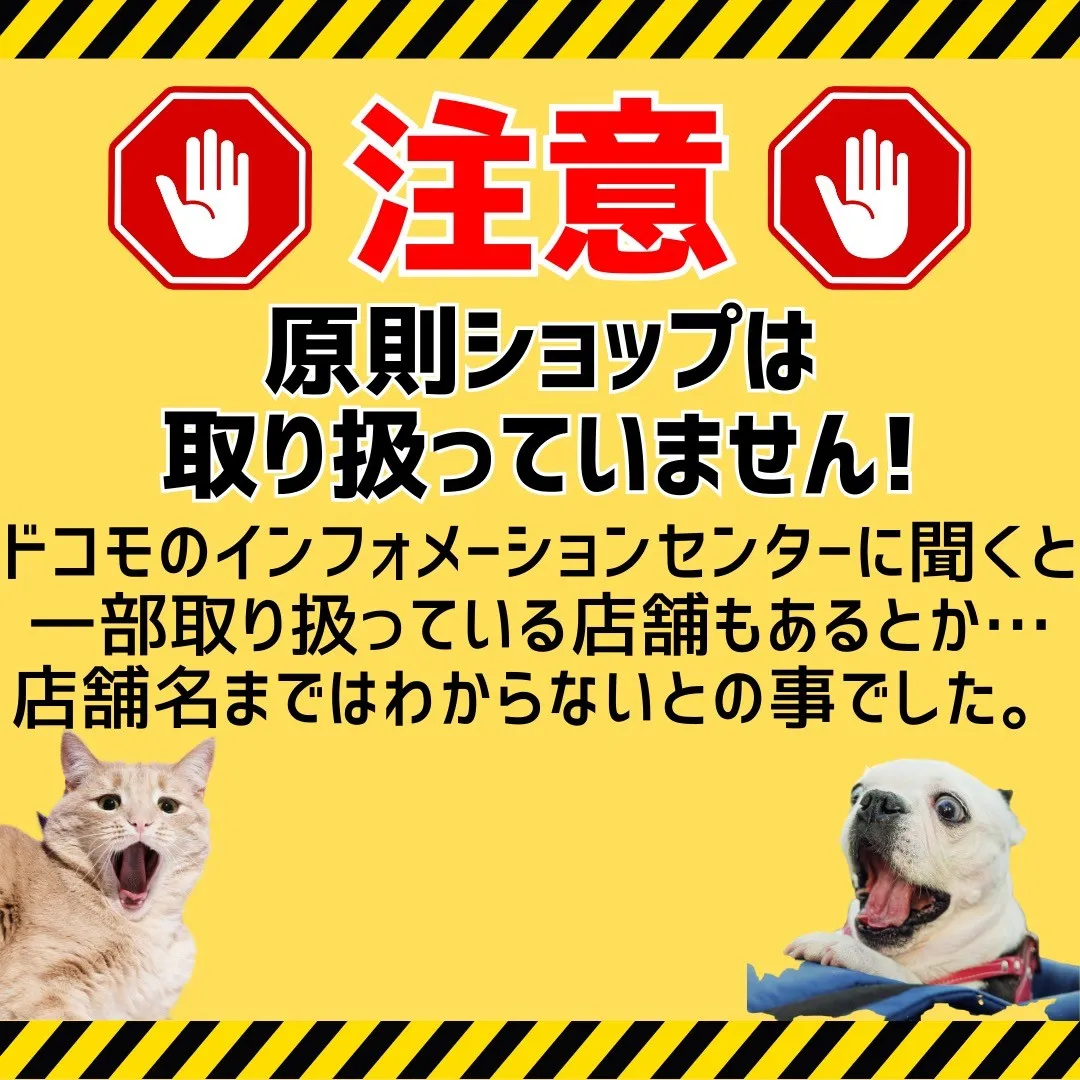 【ドコモ公式中古品】